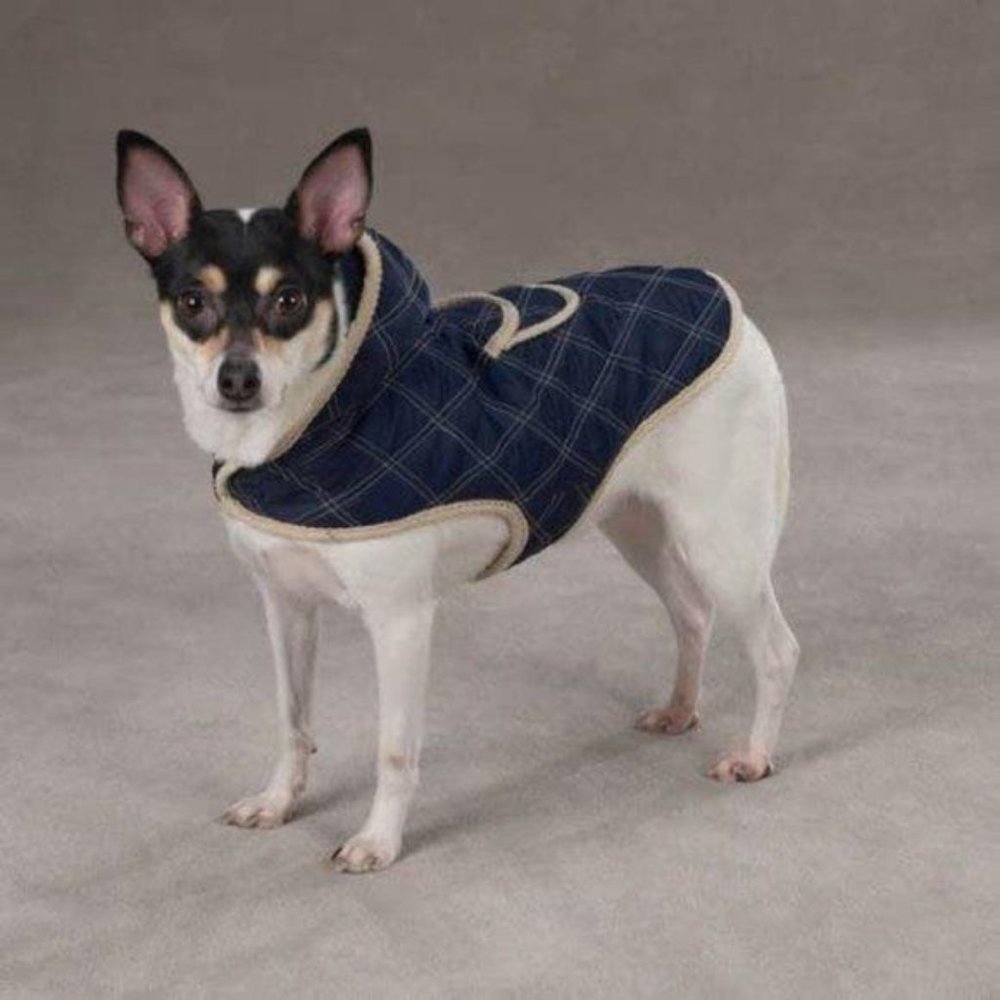 NWT XXS Zack & Zoey Quilted Jacket Navy Blue